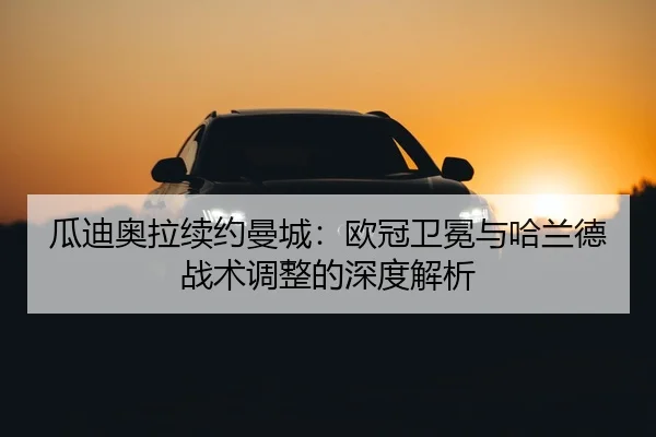 gua-di-ao-la-xu-yue-man-cheng-ou-guan-wei-mian-yu-ha-lan-de-zhan-shu-tiao-zheng-de-shen-du-jie-xi-3-926.jpg