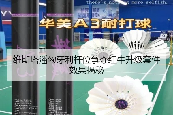维斯塔潘匈牙利杆位争夺红牛升级套件效果揭秘